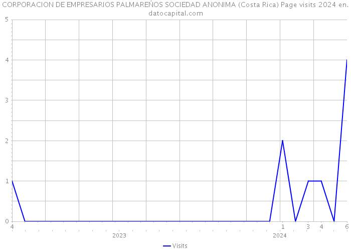 CORPORACION DE EMPRESARIOS PALMAREŃOS SOCIEDAD ANONIMA (Costa Rica) Page visits 2024 