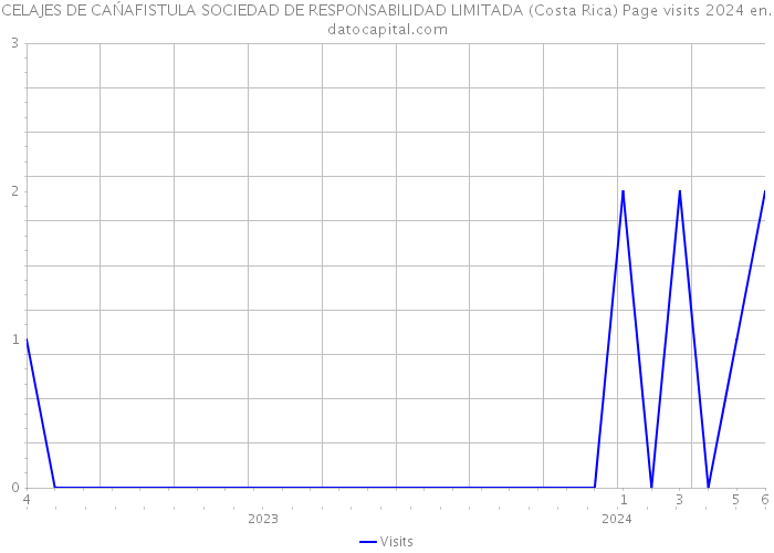 CELAJES DE CAŃAFISTULA SOCIEDAD DE RESPONSABILIDAD LIMITADA (Costa Rica) Page visits 2024 