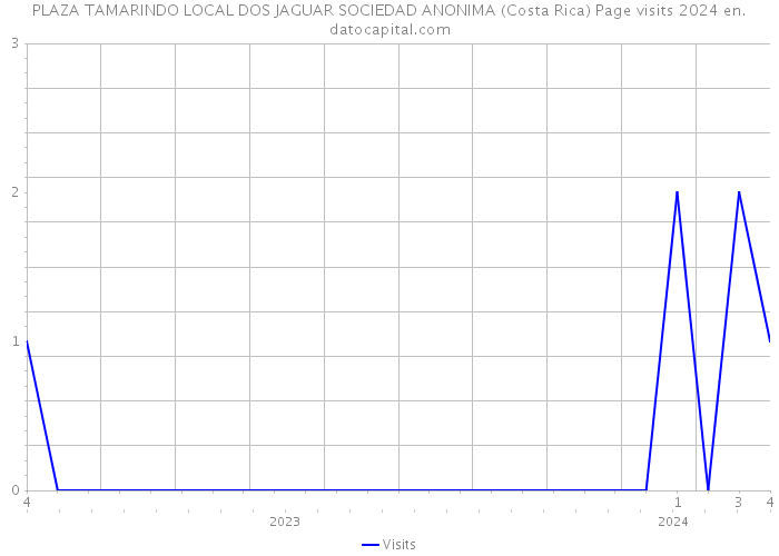 PLAZA TAMARINDO LOCAL DOS JAGUAR SOCIEDAD ANONIMA (Costa Rica) Page visits 2024 