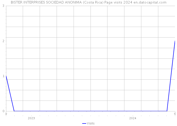 BISTER INTERPRISES SOCIEDAD ANONIMA (Costa Rica) Page visits 2024 