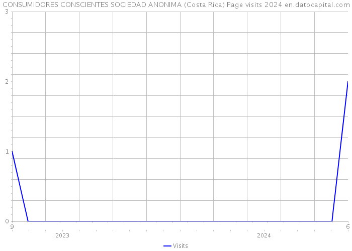 CONSUMIDORES CONSCIENTES SOCIEDAD ANONIMA (Costa Rica) Page visits 2024 