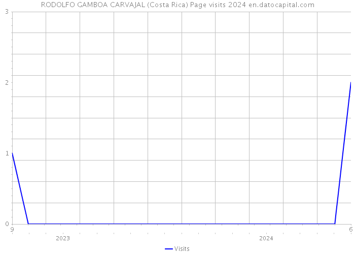 RODOLFO GAMBOA CARVAJAL (Costa Rica) Page visits 2024 