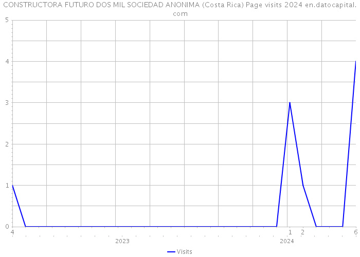 CONSTRUCTORA FUTURO DOS MIL SOCIEDAD ANONIMA (Costa Rica) Page visits 2024 