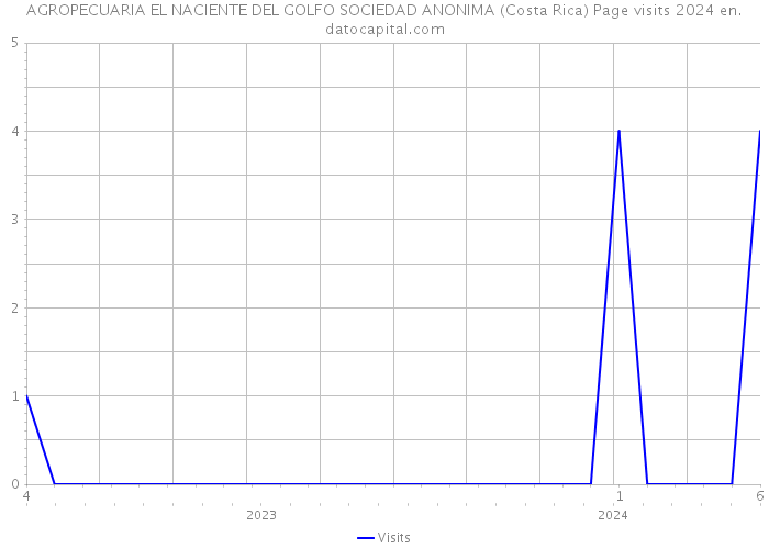 AGROPECUARIA EL NACIENTE DEL GOLFO SOCIEDAD ANONIMA (Costa Rica) Page visits 2024 