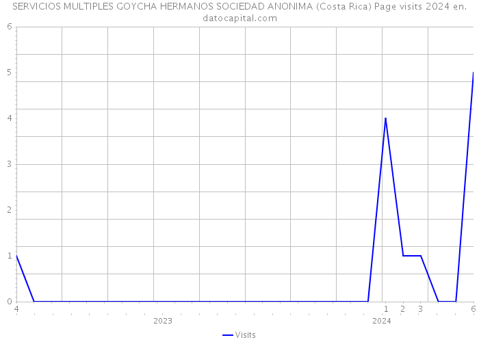 SERVICIOS MULTIPLES GOYCHA HERMANOS SOCIEDAD ANONIMA (Costa Rica) Page visits 2024 