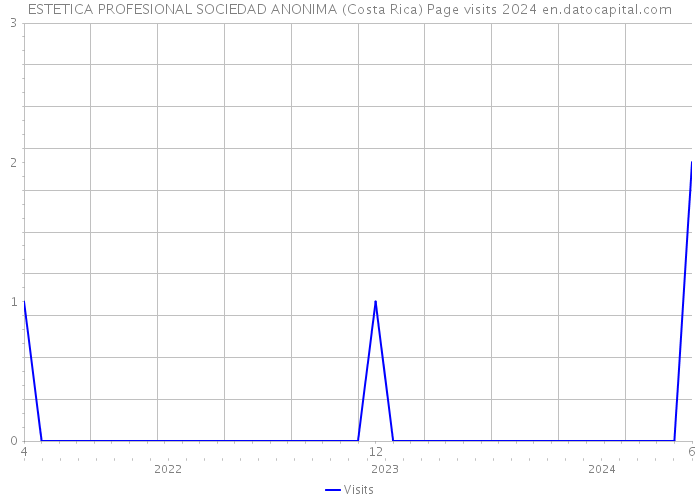 ESTETICA PROFESIONAL SOCIEDAD ANONIMA (Costa Rica) Page visits 2024 