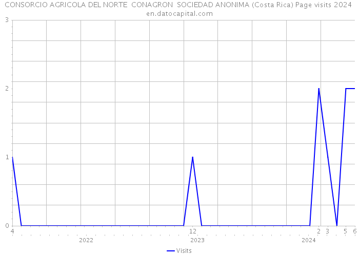 CONSORCIO AGRICOLA DEL NORTE CONAGRON SOCIEDAD ANONIMA (Costa Rica) Page visits 2024 