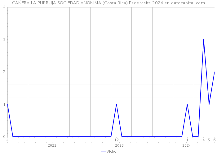 CAŃERA LA PURRUJA SOCIEDAD ANONIMA (Costa Rica) Page visits 2024 