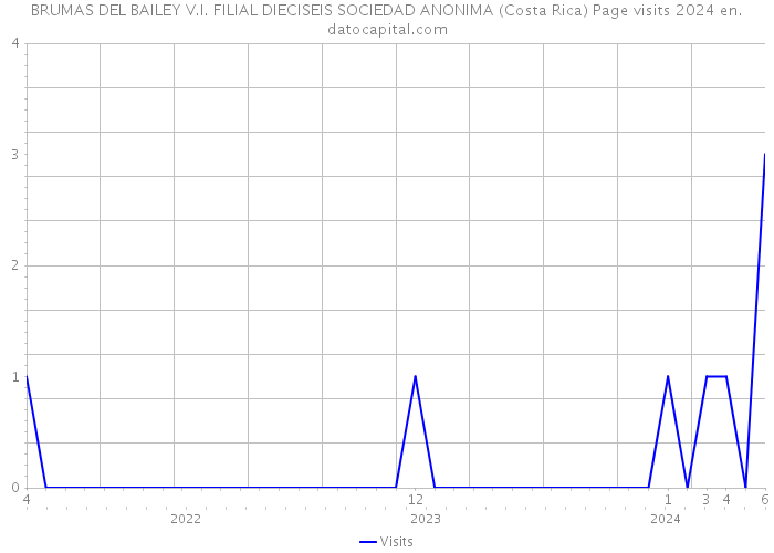 BRUMAS DEL BAILEY V.I. FILIAL DIECISEIS SOCIEDAD ANONIMA (Costa Rica) Page visits 2024 