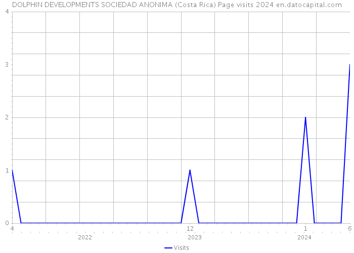 DOLPHIN DEVELOPMENTS SOCIEDAD ANONIMA (Costa Rica) Page visits 2024 