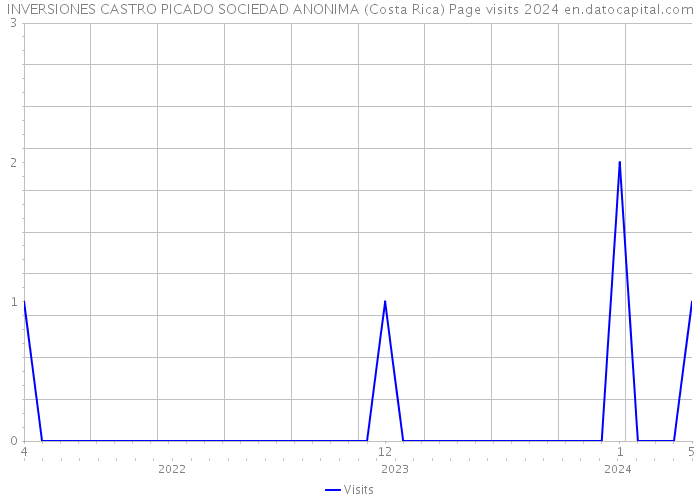 INVERSIONES CASTRO PICADO SOCIEDAD ANONIMA (Costa Rica) Page visits 2024 