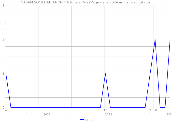 CASAM SOCIEDAD ANONIMA (Costa Rica) Page visits 2024 