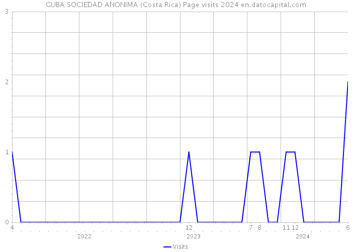 GUBA SOCIEDAD ANONIMA (Costa Rica) Page visits 2024 