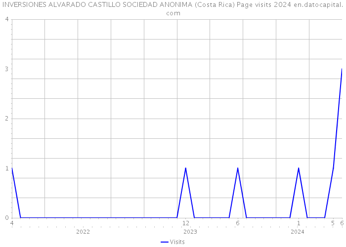 INVERSIONES ALVARADO CASTILLO SOCIEDAD ANONIMA (Costa Rica) Page visits 2024 