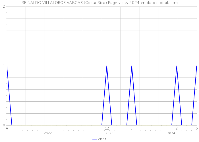 REINALDO VILLALOBOS VARGAS (Costa Rica) Page visits 2024 
