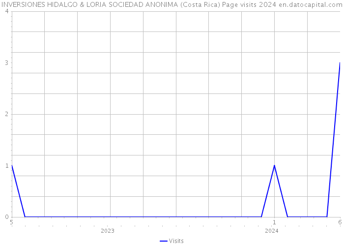 INVERSIONES HIDALGO & LORIA SOCIEDAD ANONIMA (Costa Rica) Page visits 2024 