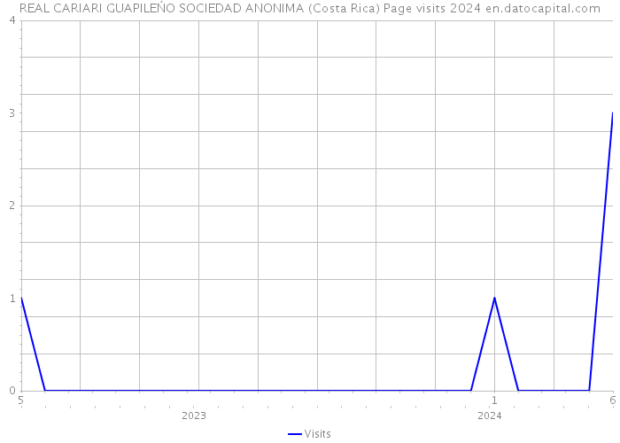 REAL CARIARI GUAPILEŃO SOCIEDAD ANONIMA (Costa Rica) Page visits 2024 