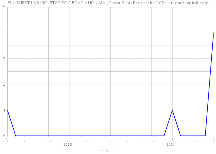 SUNBURST LAS VIOLETAS SOCIEDAD ANONIMA (Costa Rica) Page visits 2024 