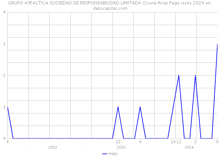GRUPO ASFALTICA SOCIEDAD DE RESPONSABILIDAD LIMITADA (Costa Rica) Page visits 2024 