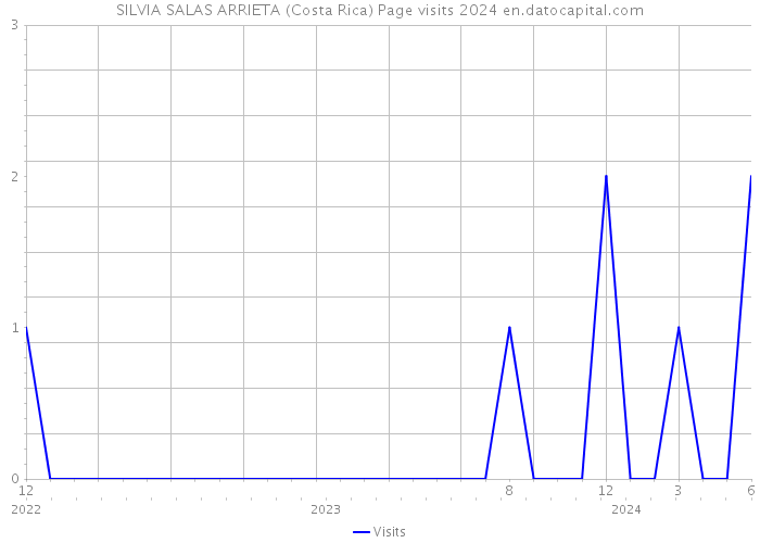 SILVIA SALAS ARRIETA (Costa Rica) Page visits 2024 