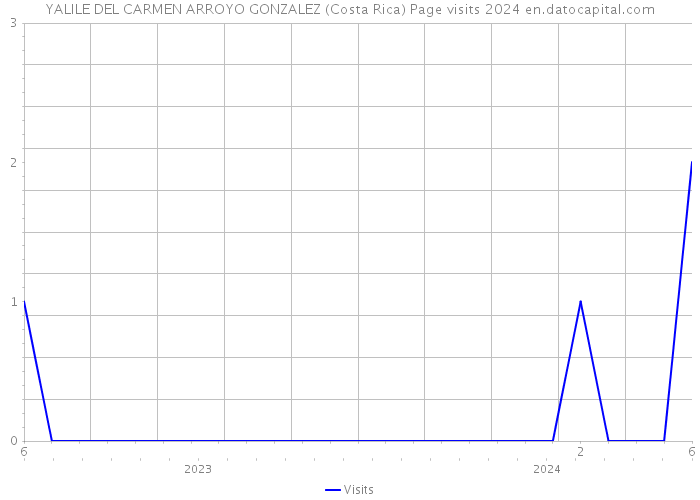 YALILE DEL CARMEN ARROYO GONZALEZ (Costa Rica) Page visits 2024 