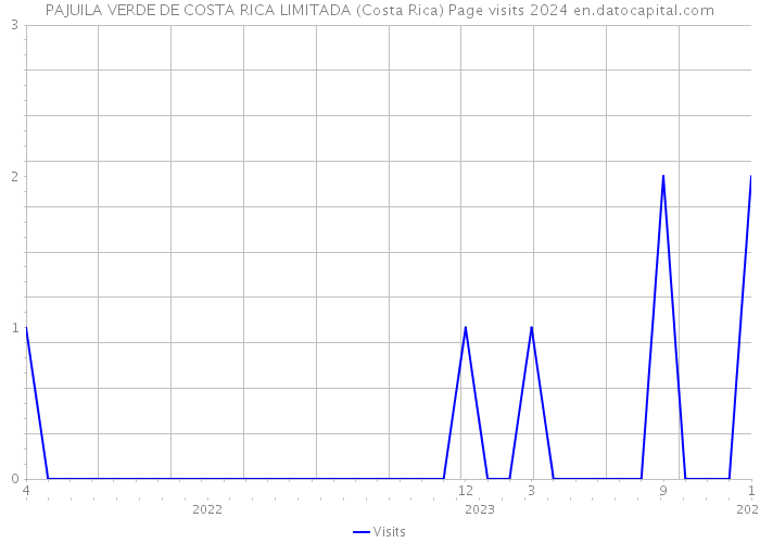 PAJUILA VERDE DE COSTA RICA LIMITADA (Costa Rica) Page visits 2024 