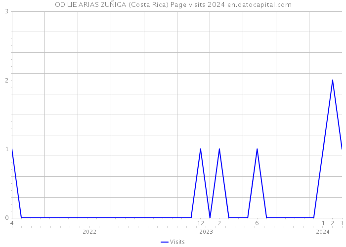 ODILIE ARIAS ZUÑIGA (Costa Rica) Page visits 2024 