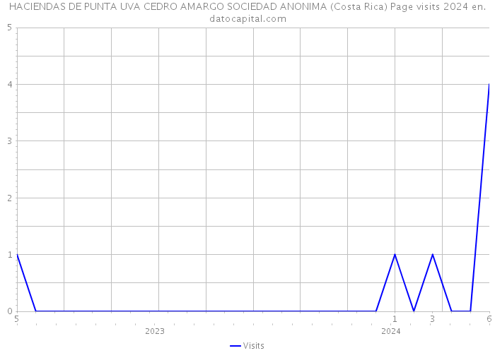 HACIENDAS DE PUNTA UVA CEDRO AMARGO SOCIEDAD ANONIMA (Costa Rica) Page visits 2024 
