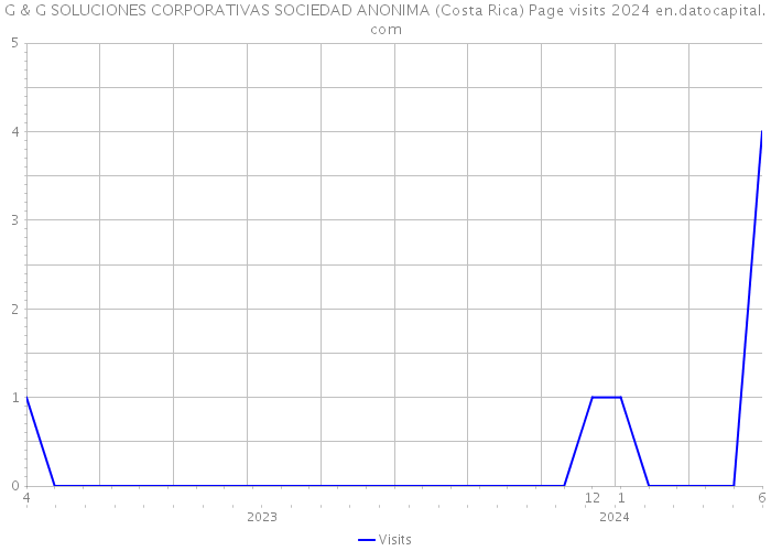 G & G SOLUCIONES CORPORATIVAS SOCIEDAD ANONIMA (Costa Rica) Page visits 2024 