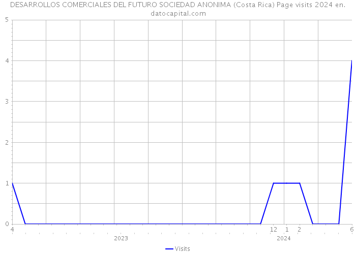 DESARROLLOS COMERCIALES DEL FUTURO SOCIEDAD ANONIMA (Costa Rica) Page visits 2024 