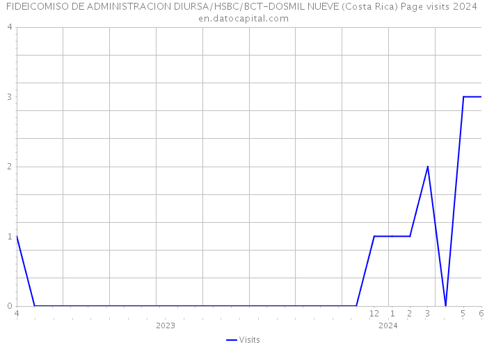 FIDEICOMISO DE ADMINISTRACION DIURSA/HSBC/BCT-DOSMIL NUEVE (Costa Rica) Page visits 2024 