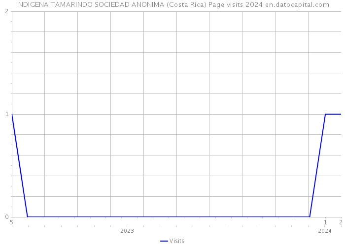INDIGENA TAMARINDO SOCIEDAD ANONIMA (Costa Rica) Page visits 2024 
