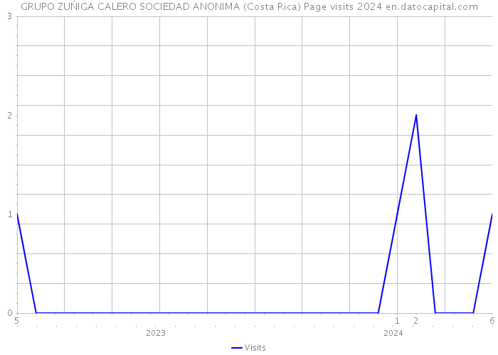 GRUPO ZUŃIGA CALERO SOCIEDAD ANONIMA (Costa Rica) Page visits 2024 