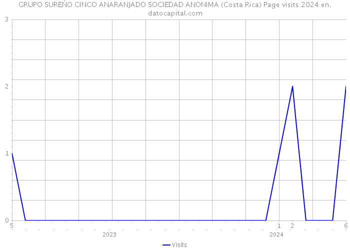 GRUPO SUREŃO CINCO ANARANJADO SOCIEDAD ANONIMA (Costa Rica) Page visits 2024 