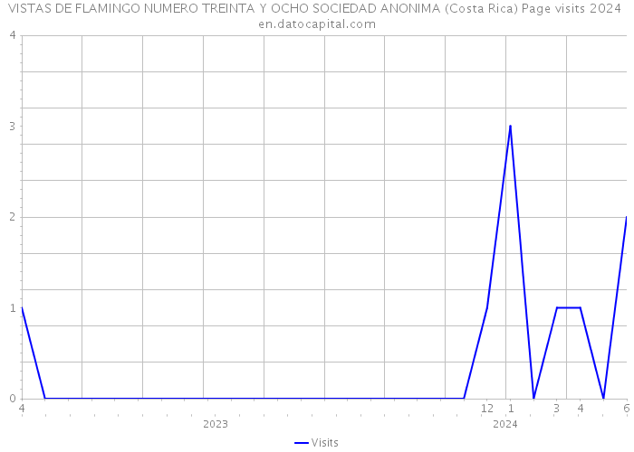VISTAS DE FLAMINGO NUMERO TREINTA Y OCHO SOCIEDAD ANONIMA (Costa Rica) Page visits 2024 