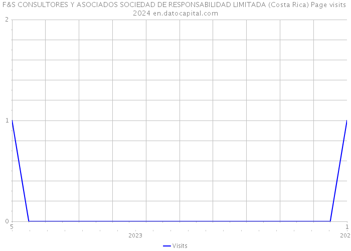 F&S CONSULTORES Y ASOCIADOS SOCIEDAD DE RESPONSABILIDAD LIMITADA (Costa Rica) Page visits 2024 