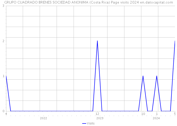 GRUPO CUADRADO BRENES SOCIEDAD ANONIMA (Costa Rica) Page visits 2024 