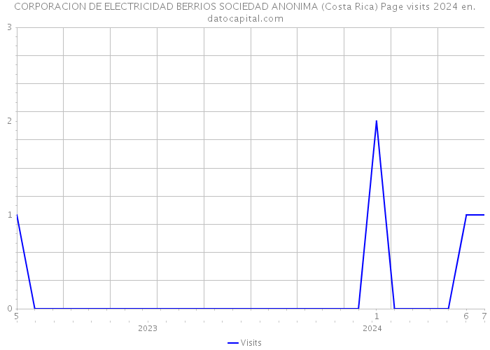 CORPORACION DE ELECTRICIDAD BERRIOS SOCIEDAD ANONIMA (Costa Rica) Page visits 2024 