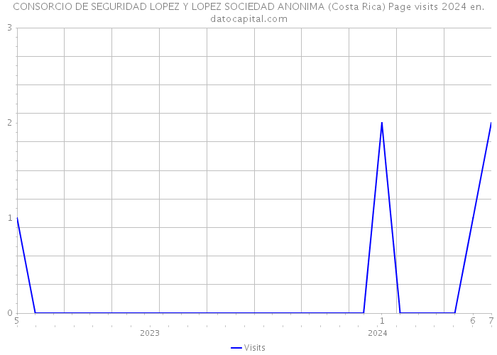 CONSORCIO DE SEGURIDAD LOPEZ Y LOPEZ SOCIEDAD ANONIMA (Costa Rica) Page visits 2024 