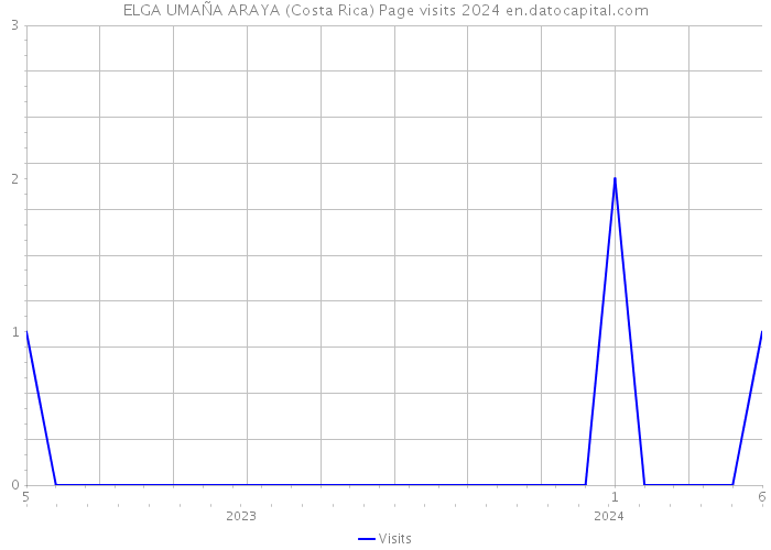 ELGA UMAÑA ARAYA (Costa Rica) Page visits 2024 