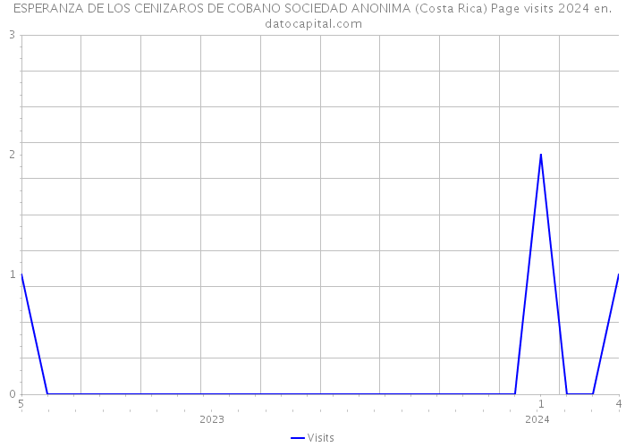 ESPERANZA DE LOS CENIZAROS DE COBANO SOCIEDAD ANONIMA (Costa Rica) Page visits 2024 