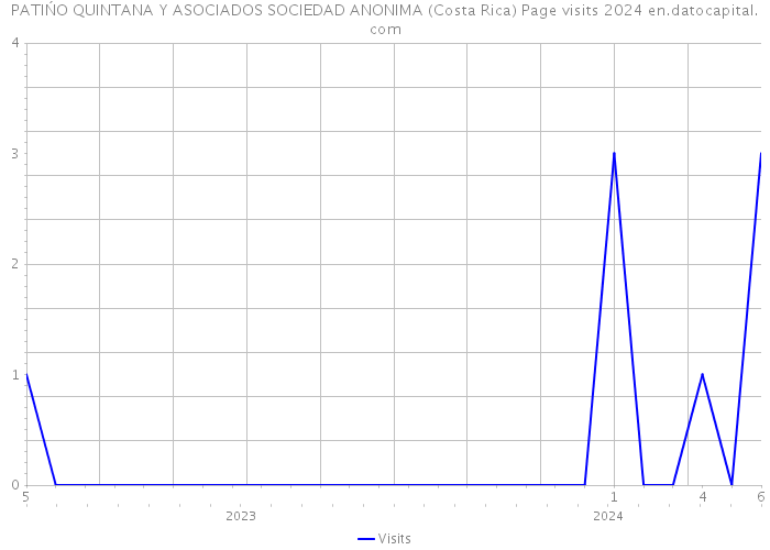 PATIŃO QUINTANA Y ASOCIADOS SOCIEDAD ANONIMA (Costa Rica) Page visits 2024 