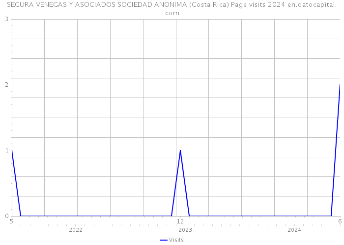 SEGURA VENEGAS Y ASOCIADOS SOCIEDAD ANONIMA (Costa Rica) Page visits 2024 