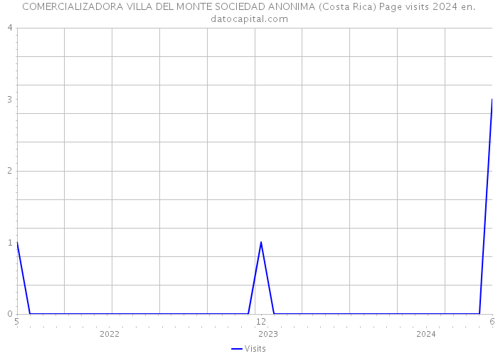 COMERCIALIZADORA VILLA DEL MONTE SOCIEDAD ANONIMA (Costa Rica) Page visits 2024 