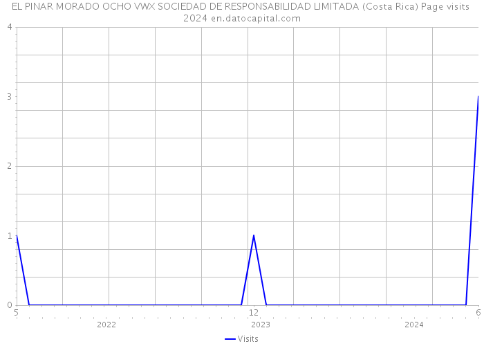 EL PINAR MORADO OCHO VWX SOCIEDAD DE RESPONSABILIDAD LIMITADA (Costa Rica) Page visits 2024 