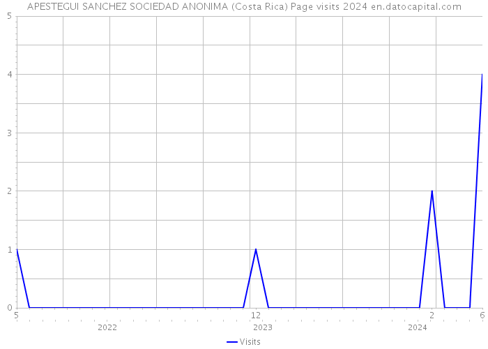 APESTEGUI SANCHEZ SOCIEDAD ANONIMA (Costa Rica) Page visits 2024 