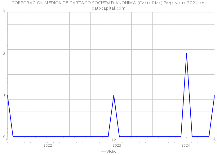 CORPORACION MEDICA DE CARTAGO SOCIEDAD ANONIMA (Costa Rica) Page visits 2024 