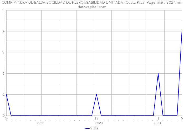 COMP MINERA DE BALSA SOCIEDAD DE RESPONSABILIDAD LIMITADA (Costa Rica) Page visits 2024 