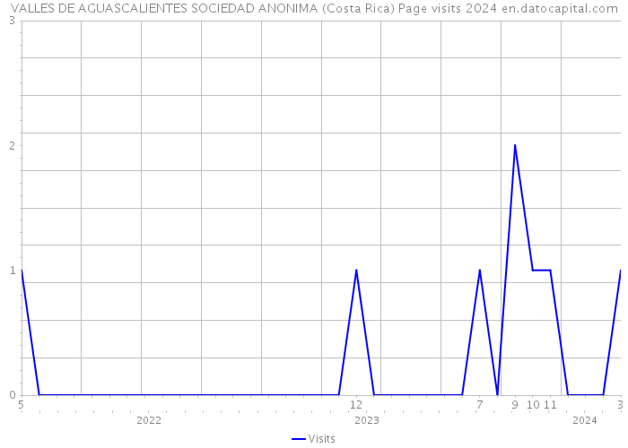 VALLES DE AGUASCALIENTES SOCIEDAD ANONIMA (Costa Rica) Page visits 2024 