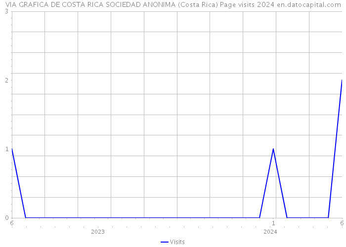VIA GRAFICA DE COSTA RICA SOCIEDAD ANONIMA (Costa Rica) Page visits 2024 